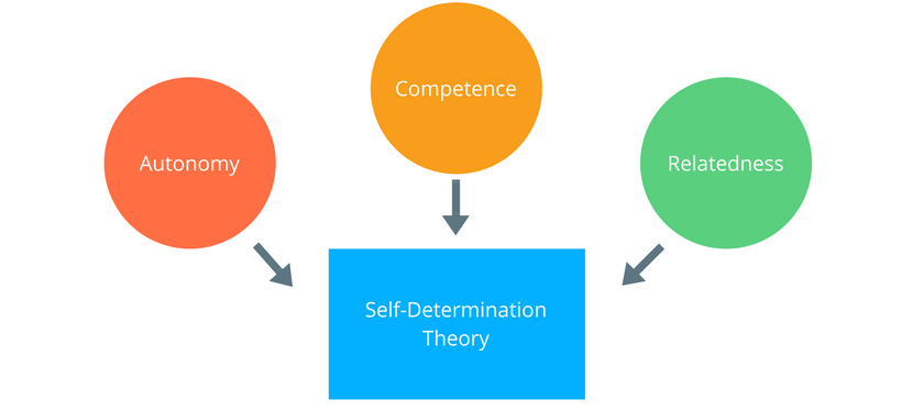 Self-Determination Theory