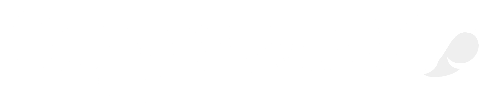 Capgemini_logo_Slide
