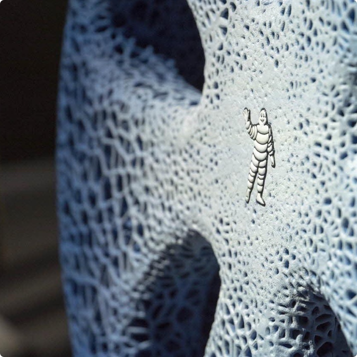michelin_solution