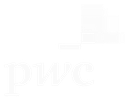 pwc_blanc_degrade_small